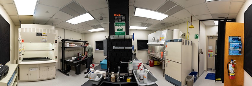 A researcher stands at a benchtop in a laboratory