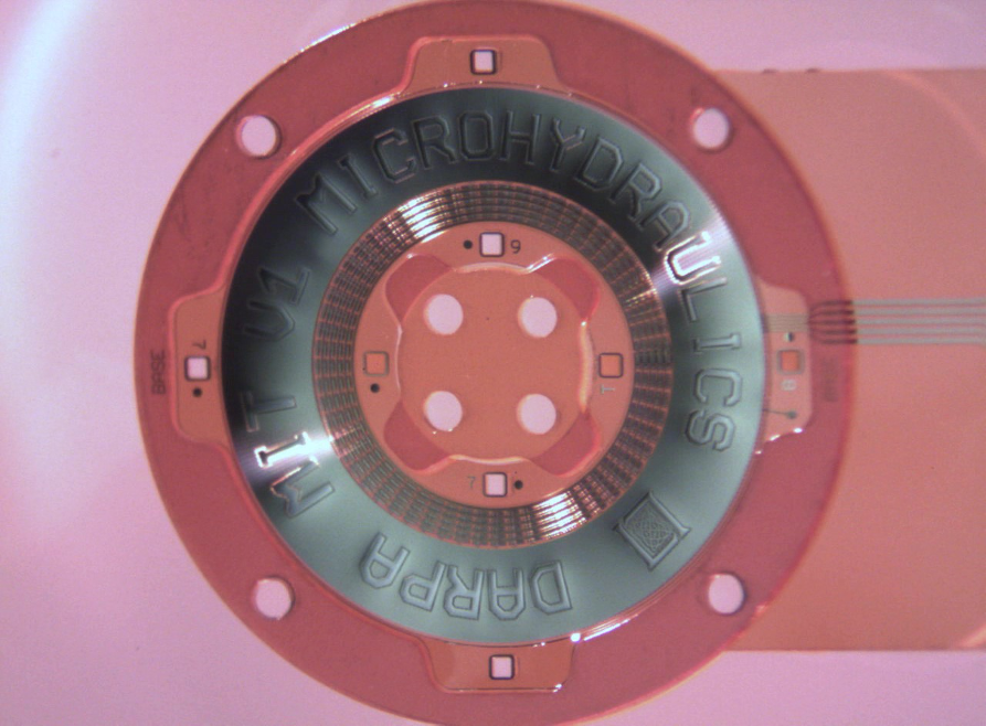 A close-up image of a circular motor. It is microfabricated with ridges in it, and has the word MIT LL and DARPA engraved in it. The motor is made of a transcluent pink polymer.