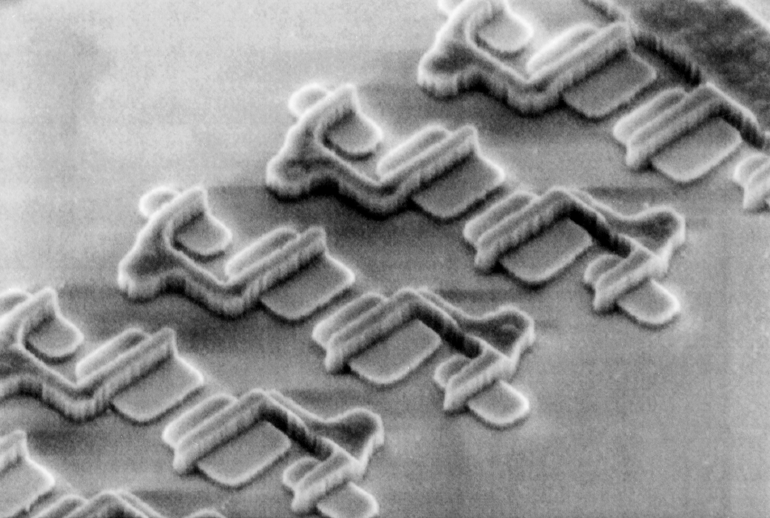 A scanning electron micrograph shows a very zoomed-in photo of electrical circuits. 