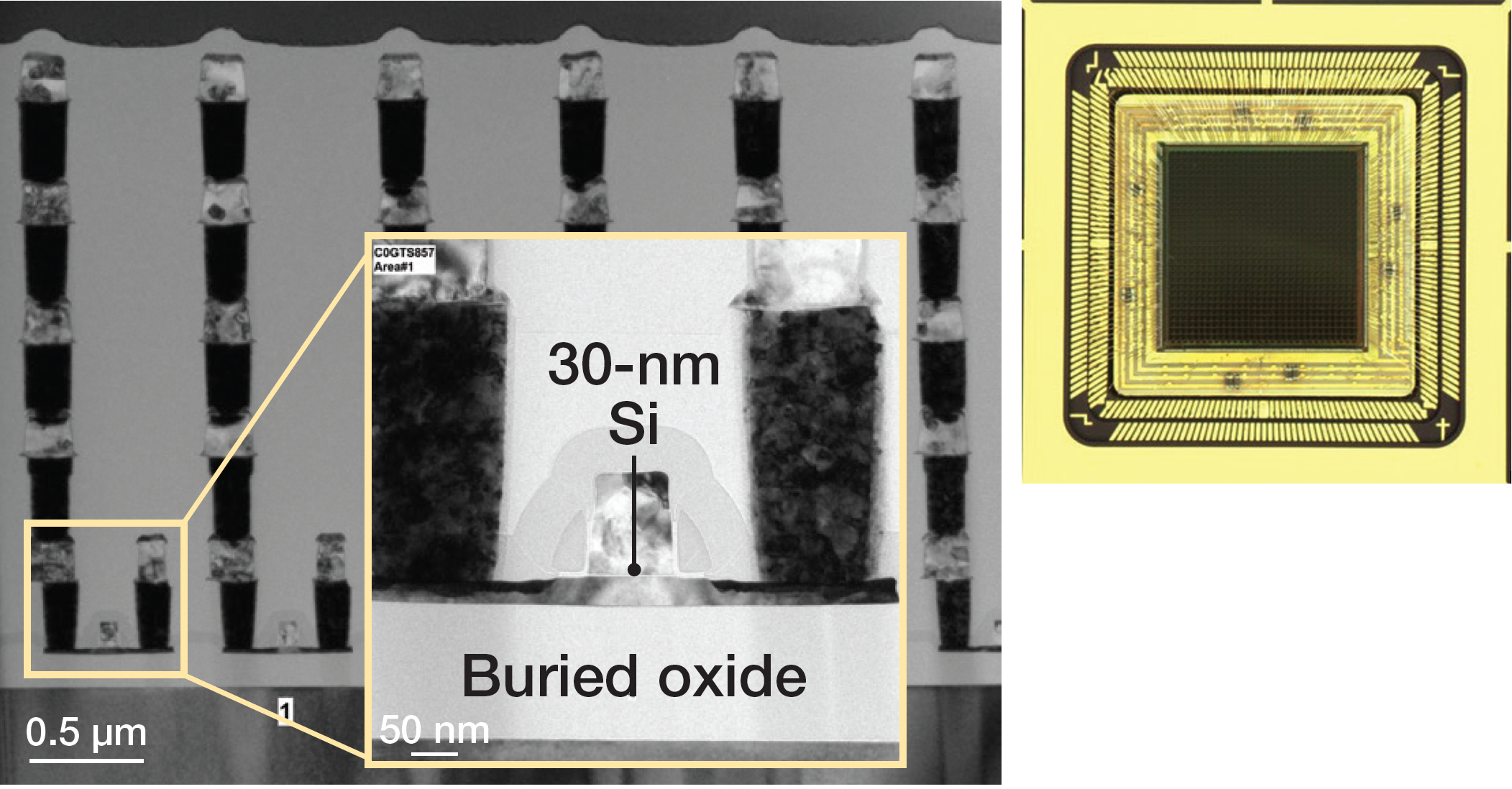 At left, TEM baseline FDSOI. At right, a double-row wirebonded circuit.