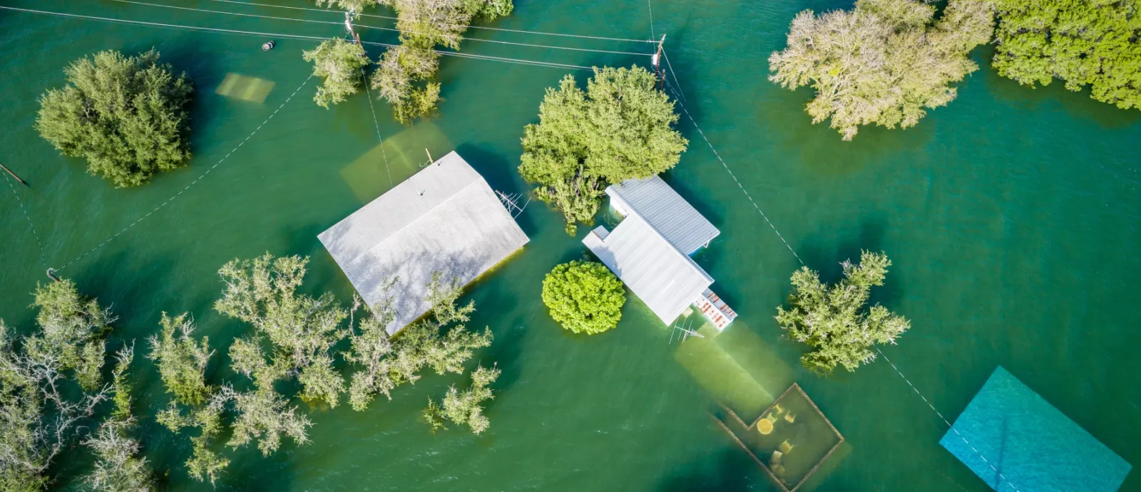 an aerial shot of a neighborhood submerged in green water.