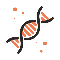 A simple illustration of a DNA strand