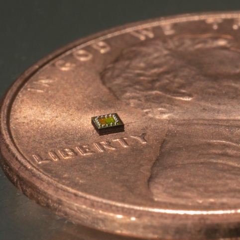 A microchip on a penny for scale