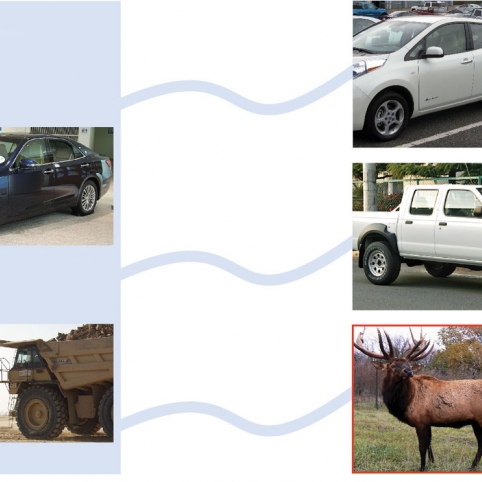 Various vehicles and a moose
