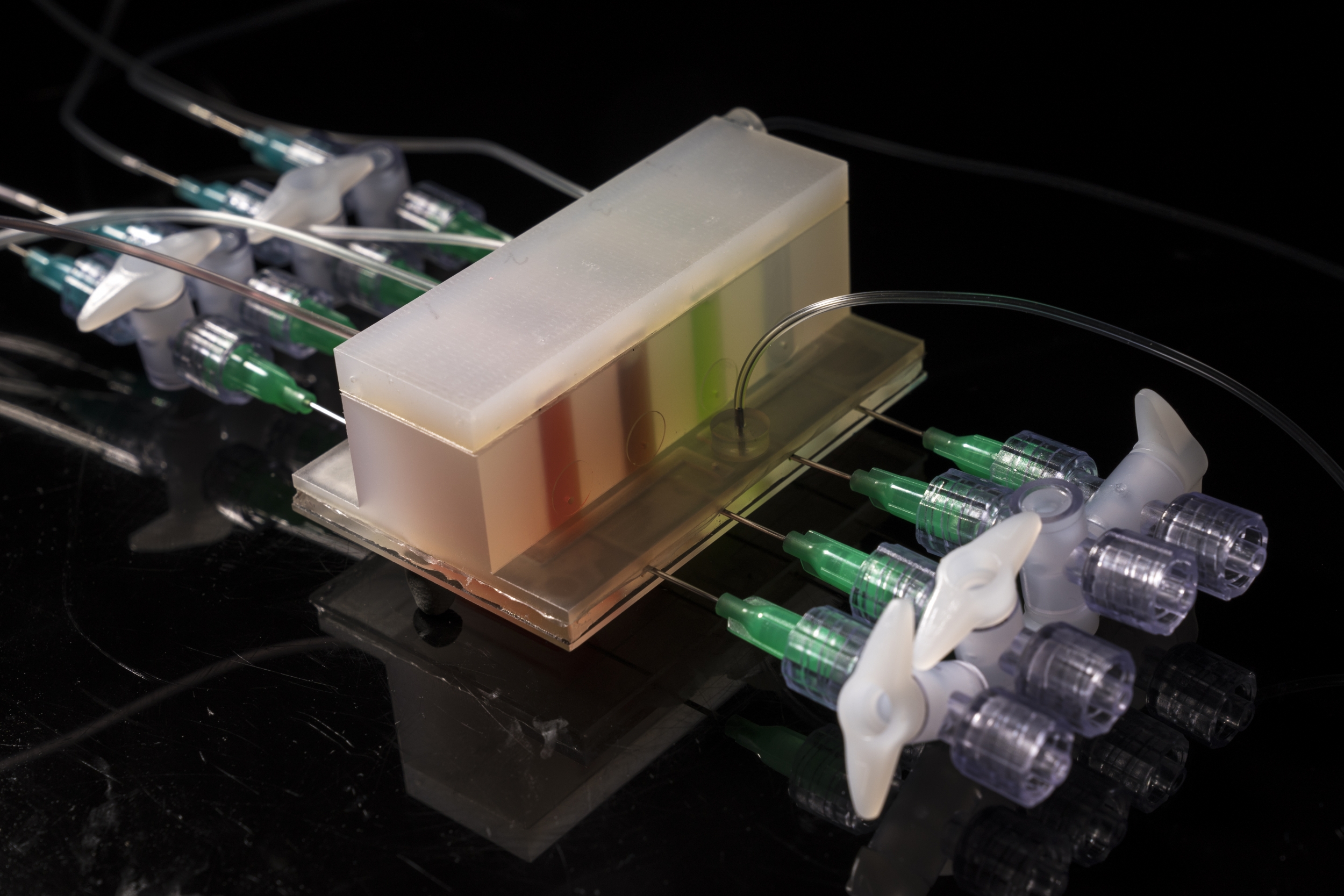 Artificial gut aims to expose the elusive microbiome | MIT Lincoln