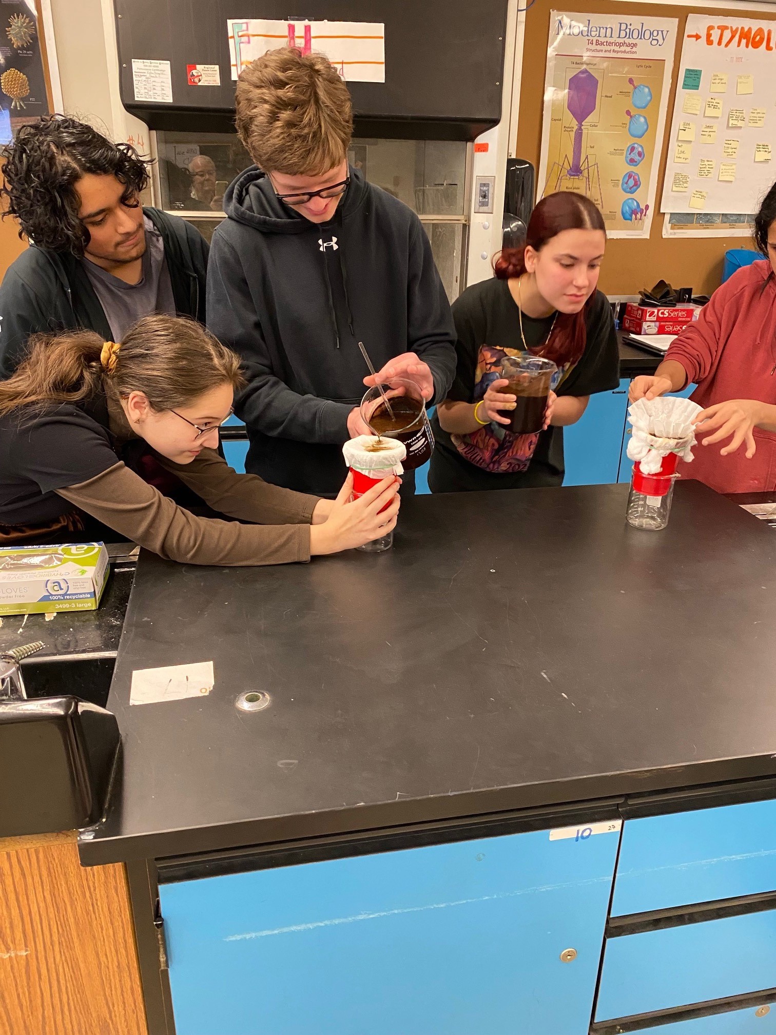 four high school students in the classroom pour beakers of coffee-ground water over cups that have filters placed over the tops.