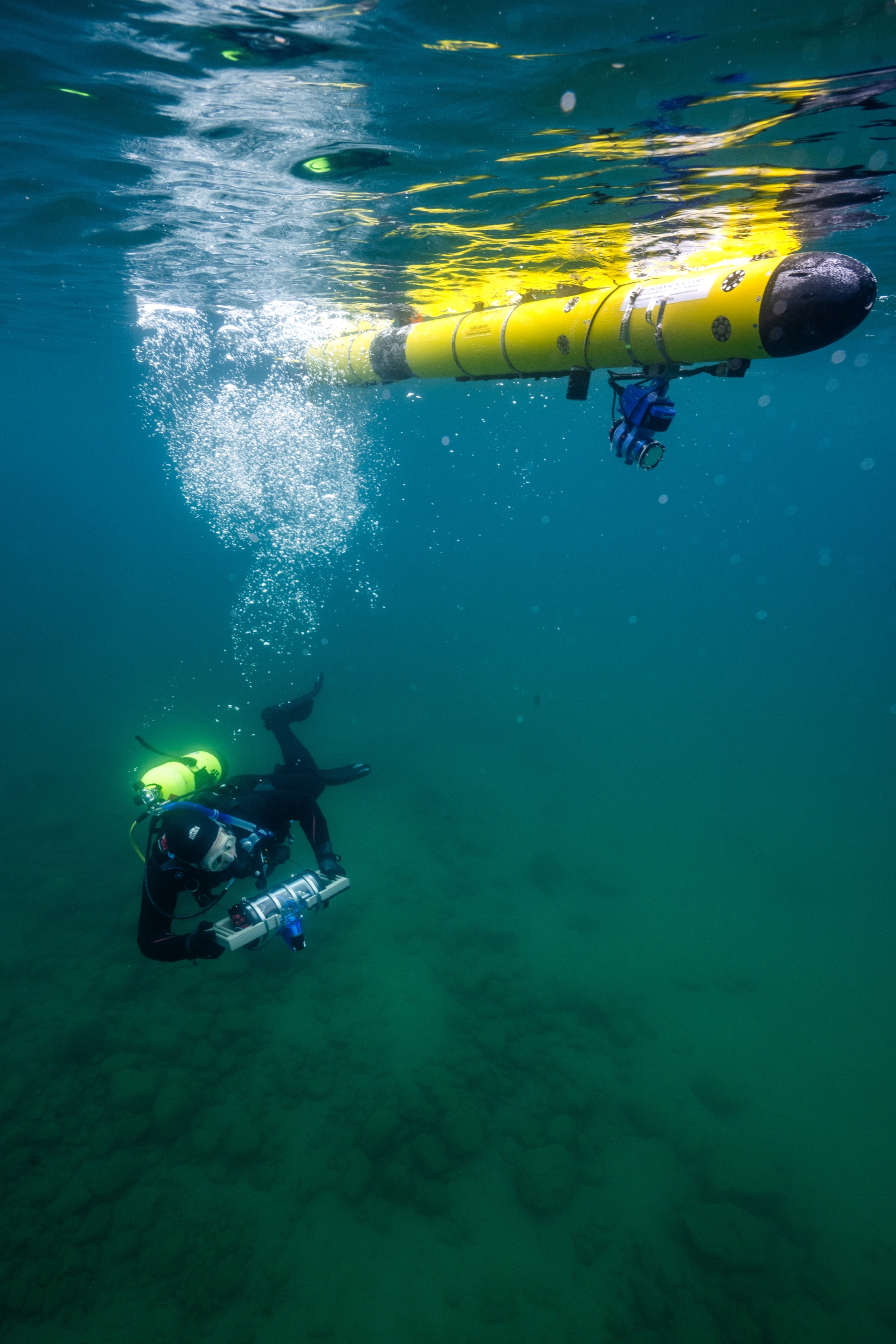 A diver carrying a tube-shaped tablet and an autonomous underwater vehicle swim underwater together.
