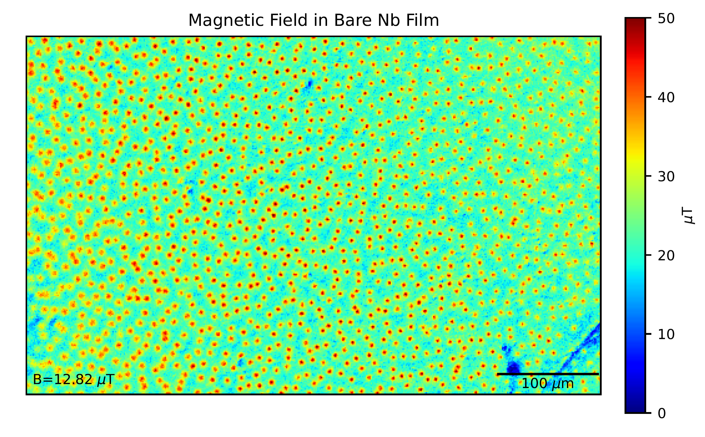 This cryomicroscope magnetic image shows trapped vortices (red circles) in a superconducting niobium film (200 nm thick).