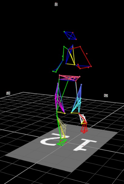 The Vicon motion capture system enables researchers to visualize and quantify body kinematics.