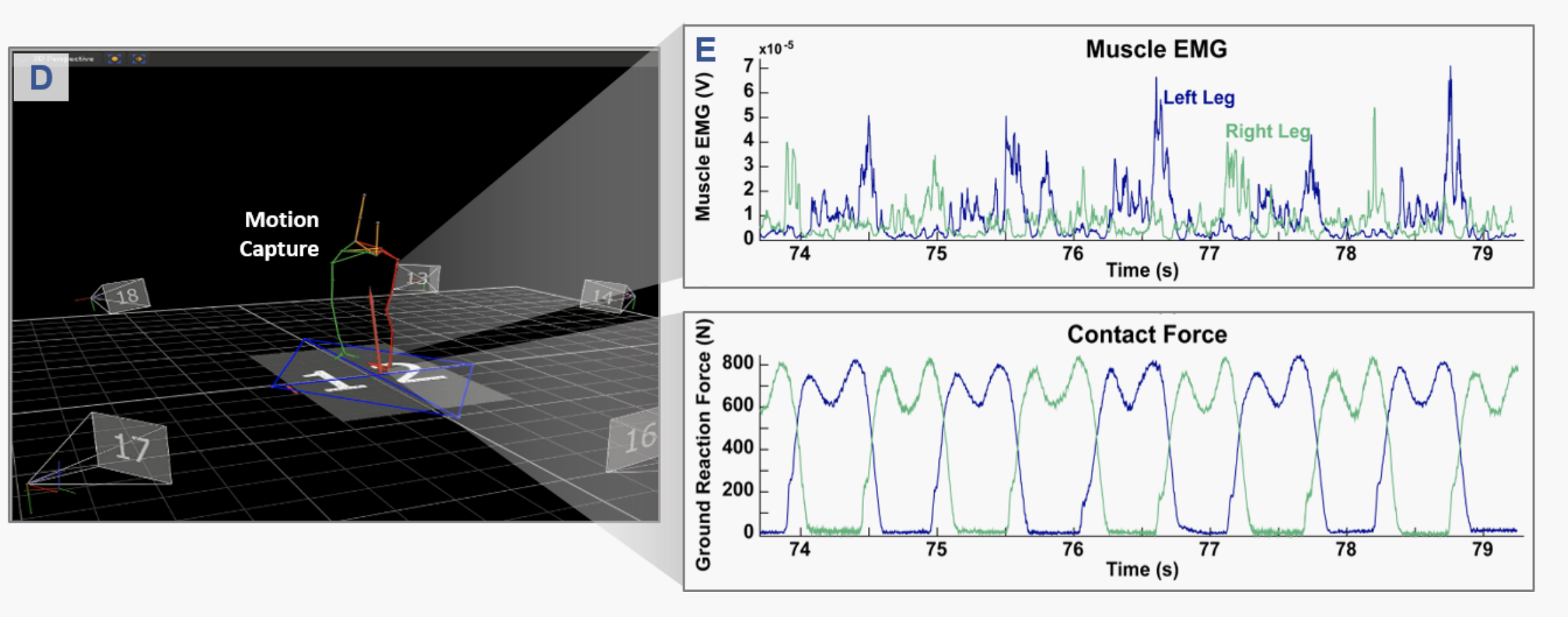 Motion-capture data of the participant is collected concurrently with the perturbation. A subset of the signals collected during the experiment using the CAREN system instrumentation are shown above. 