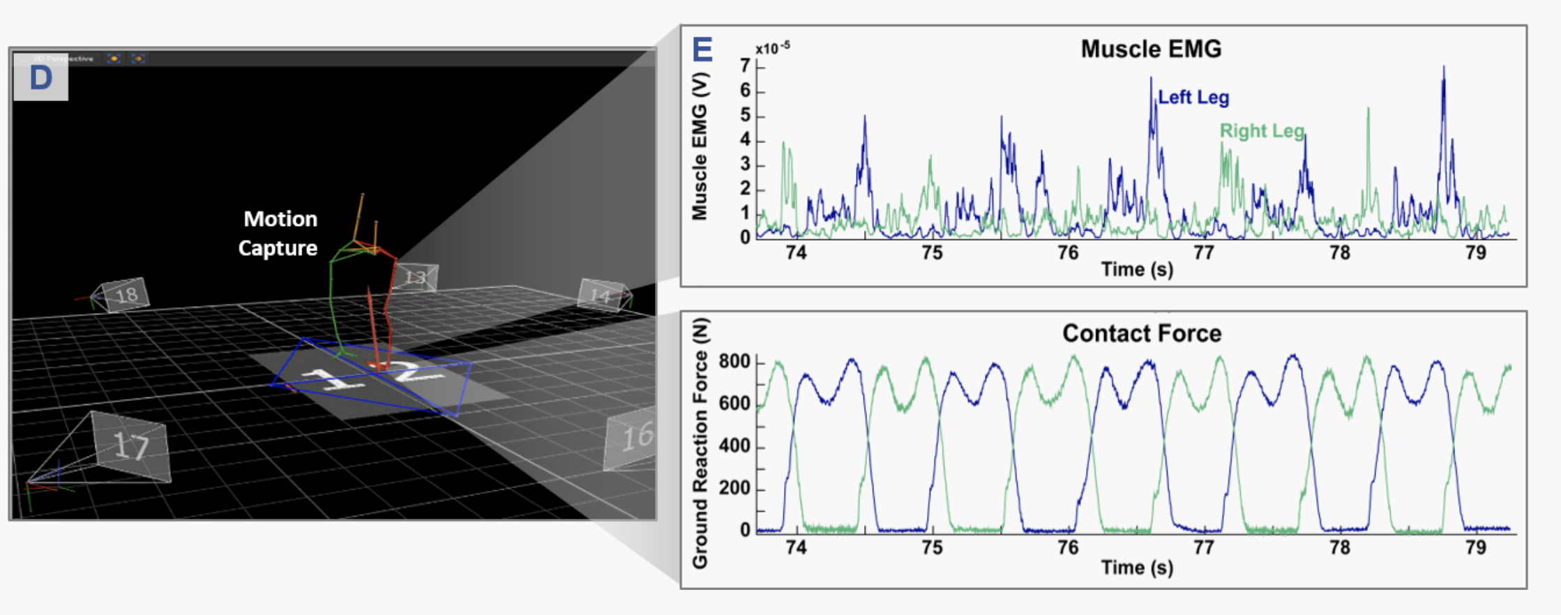 Motion-capture data of the participant is collected concurrently with the perturbation. A subset of the signals collected during the experiment using the CAREN system instrumentation are shown above.