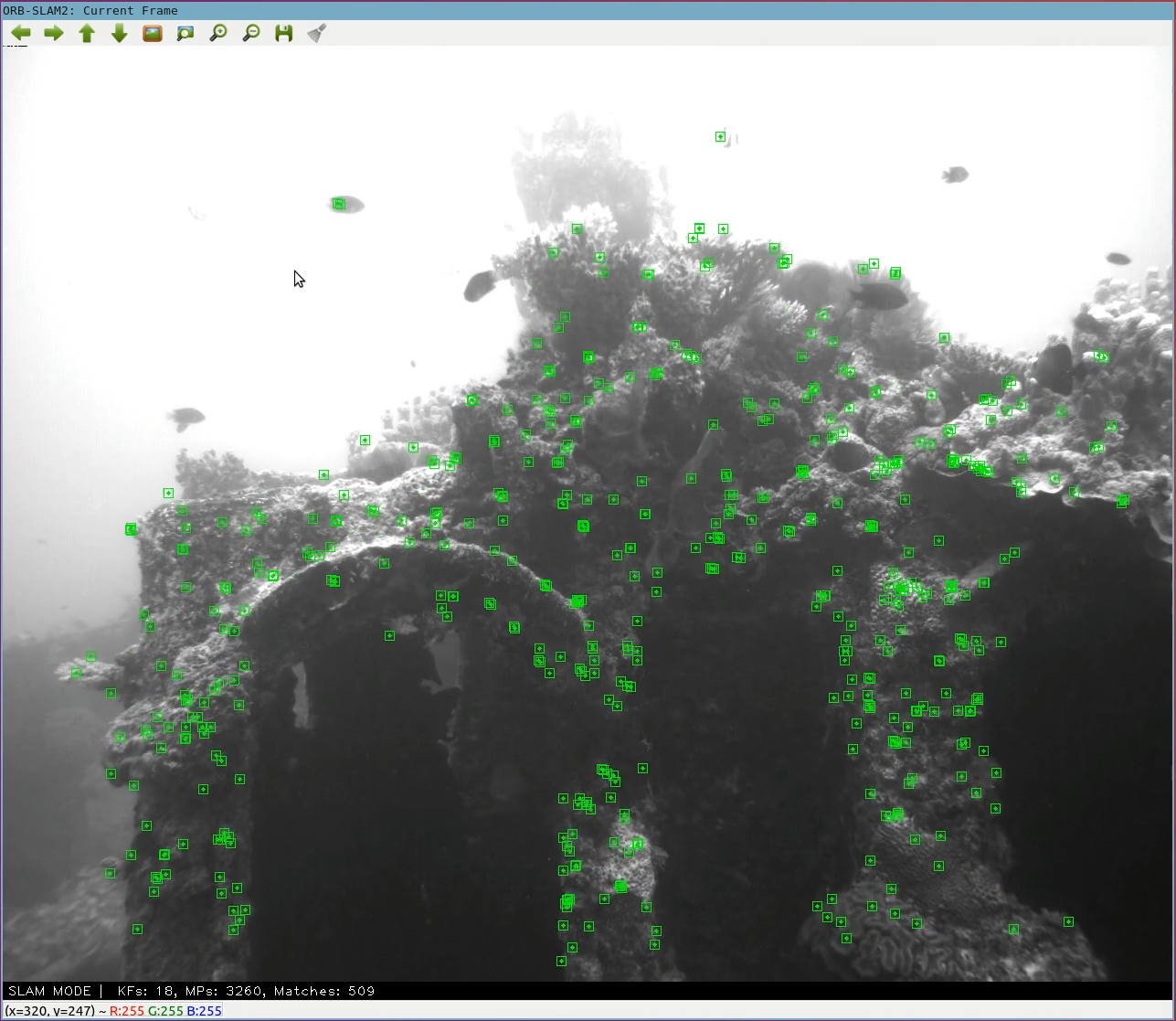 A series of green points outline a coral-encrusted sunken ship.