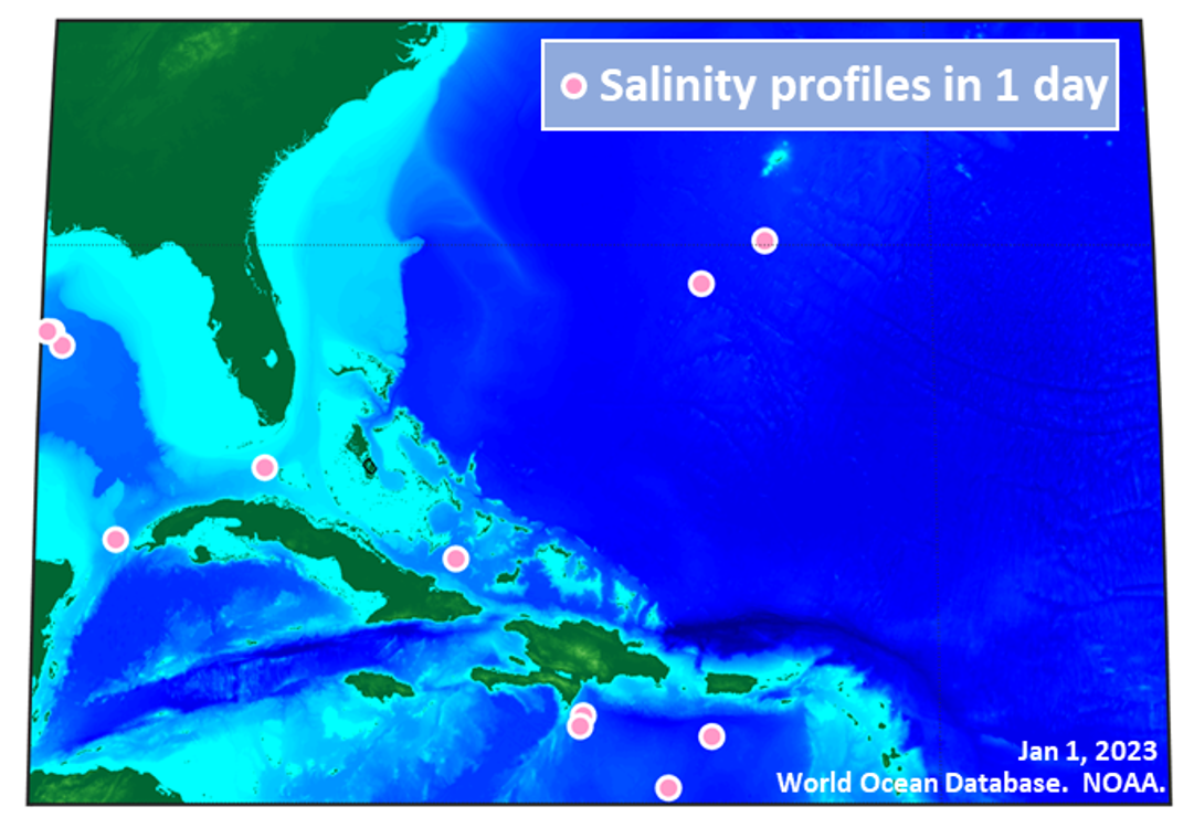 A screenshot over the florida panhandle and carribean, with dots in the ocean representing spare salinity monitors.