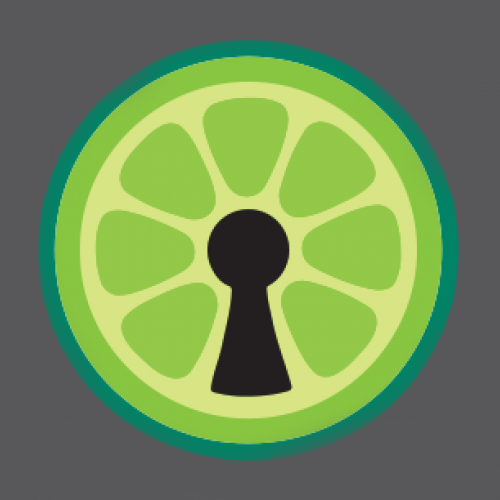 An illustration of a lime slice with a keyhole in the middle