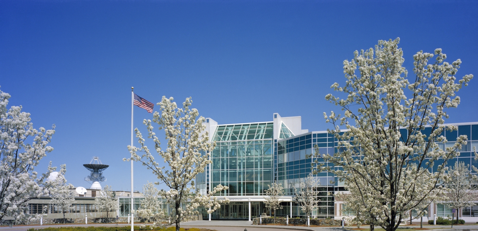 Dogwood trees bloom outside of MIT Lincoln Laboratory