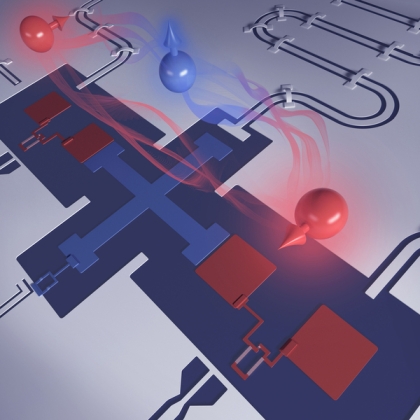  Caption:This artist rendering shows the researchers' superconducting qubit architecture, with the fluxonium qubits in red and the blue, transmon coupler in between them.