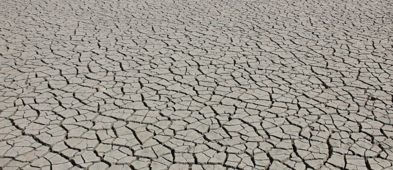 a dried-out lagoon