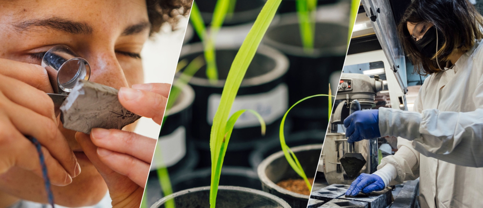 three photos spliced together: left is a person looking closing at a rock, middle us small plants growing, and right is a person in a lab. 