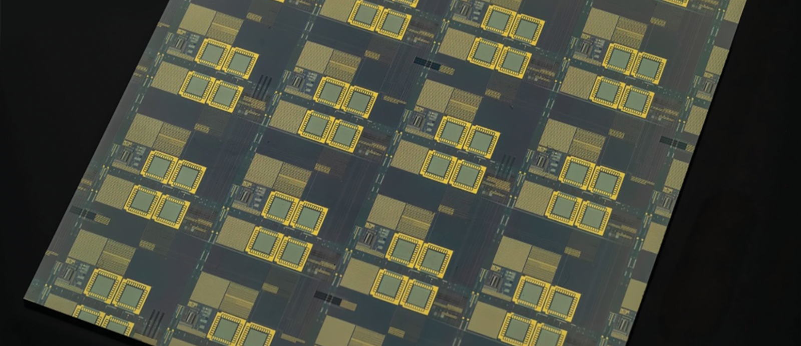 A zoomed-in optical image of multiple integrated circuits.