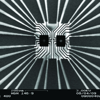 Subwavelength-Separated Superconducting Nanowire Single-Photon Detector Array