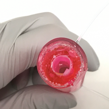 A hand holding a pink, cylindrical artgut device