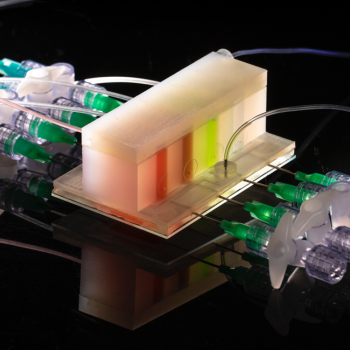 ArtGut has three chambers: the top is a gas cap through which nitrogen diffuses via a rubber membrane to the sample chamber below, and the chamber at bottom emulates the gut's mucus lining.