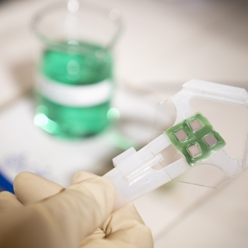 A researcher holds four green-colored ROICs that are prepared to be mounted on metal plating.