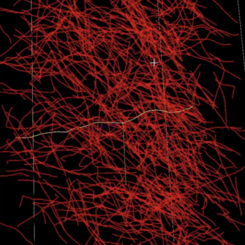 A photo of neurons being traced in red lines