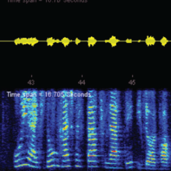 A sample spectrogram