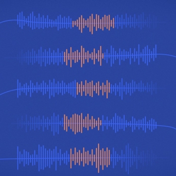The image is a sampling of speech signals similar to those used in detecting vocal distinctions.