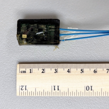 Photo of the hydrophone next to a ruler for size.