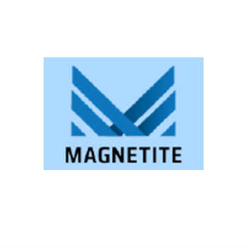 Magnetite logo
