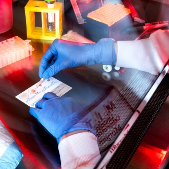 A close up of a laboratory process.