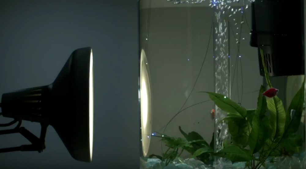Submerged underwater, fibers embedded with photodetecting diodes record a light signal emitting from the lamp and convert it into an audio signal, Handel's "Water Music." Video: Advanced Functional Fabrics of America