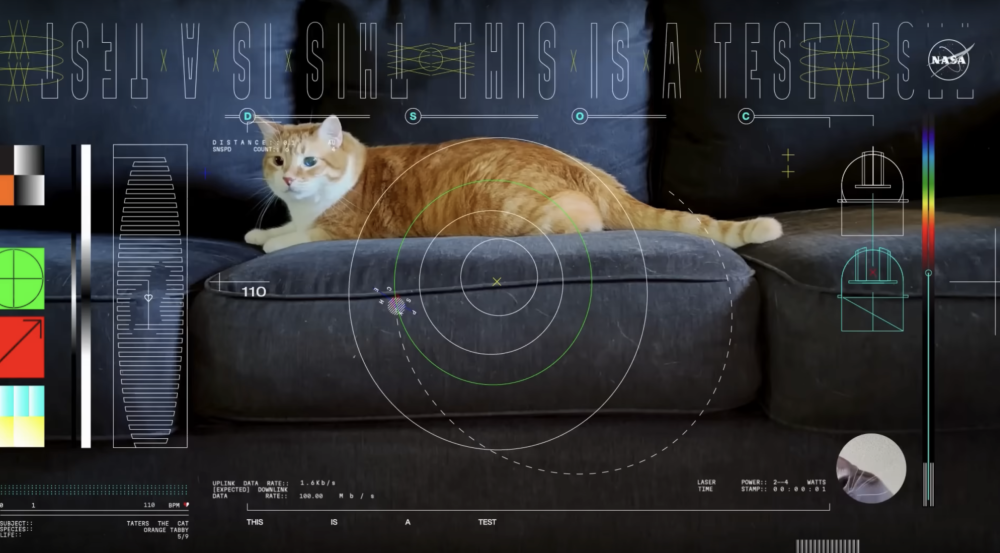 Video of the Deep-Space Optical Communication Demonstration's link from the Psyche spacecraft. A cat named Taters is chasing a laser pointer.
