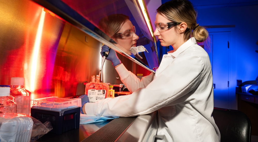 A scientist works with a pipette in a laboratory hood.