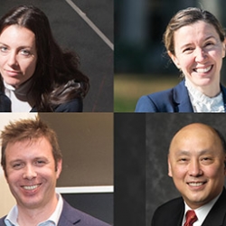 Photo montage of the four new IEEE Fellows from MIT