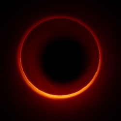 A simulated image of a black hole's photon ring.