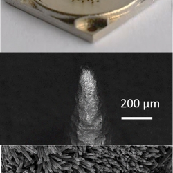 Close-up of a 3D printed array