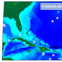 A screenshot over the florida panhandle and carribean, with dots in the ocean representing spare salinity monitors.