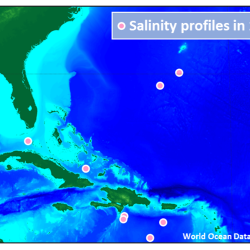 A screenshot over the florida panhandle and carribean, with dots in the ocean representing spare salinity monitors.