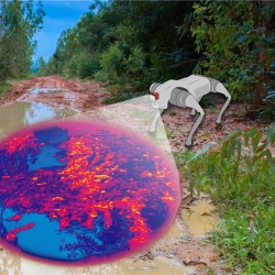 An illustration of a four-legged robot scanning a flooded muddy pathway in a forest. 