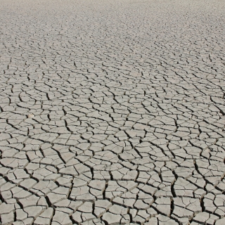 a dried-out lagoon