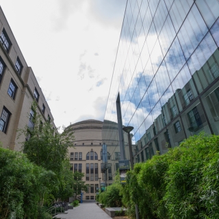 Exterior photo of an MIT campus building