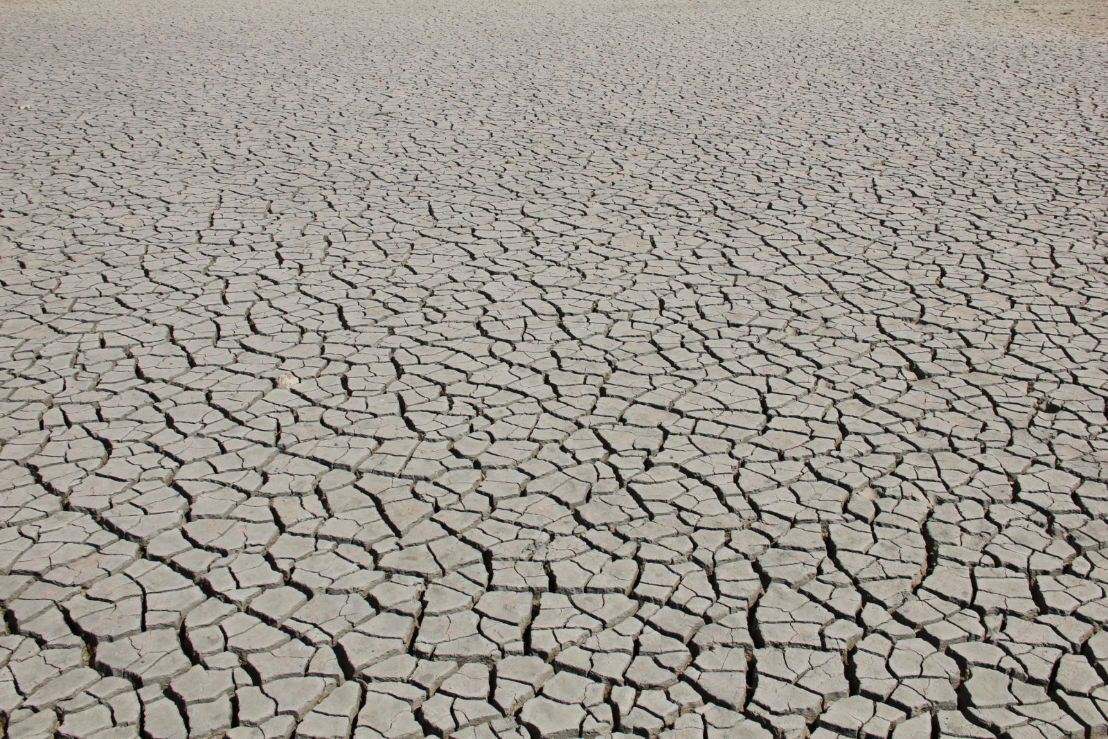 a dried-out lagoon