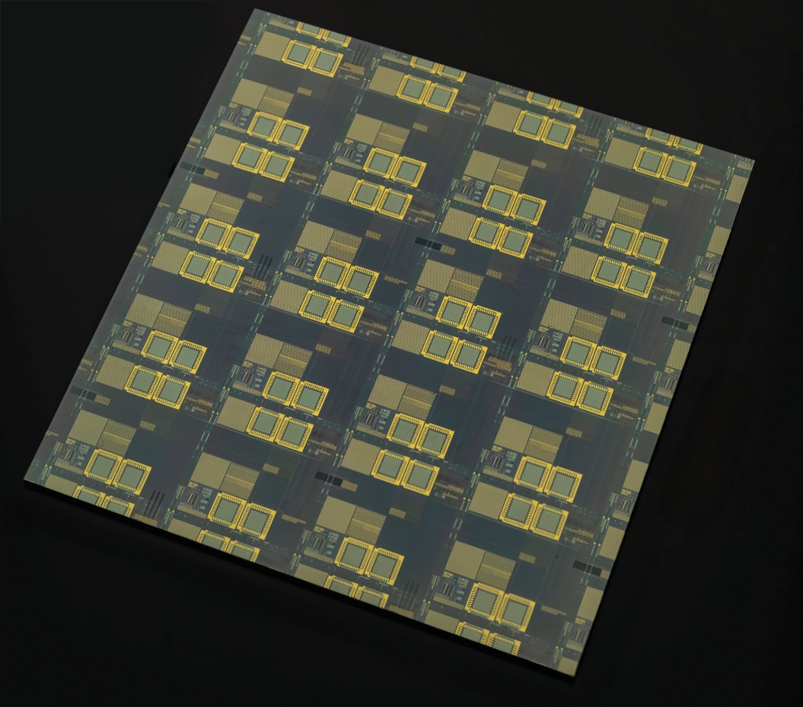 A zoomed-in optical image of multiple integrated circuits. 
