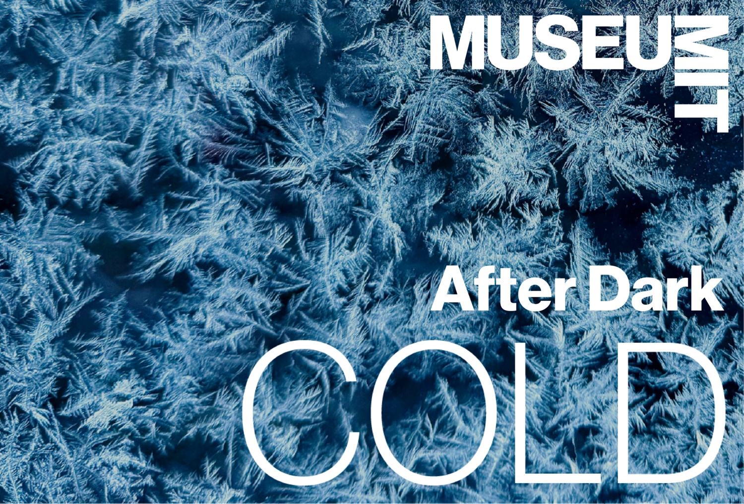 An advertisement for the MIT Museum's After Dark: COLD event shows ice crystals.