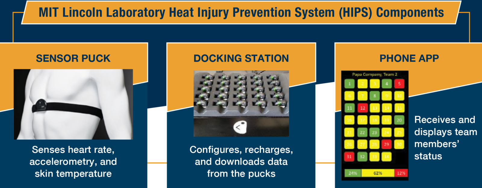 The graphic shows the components of HIPS : sensor, algorithms, and display.