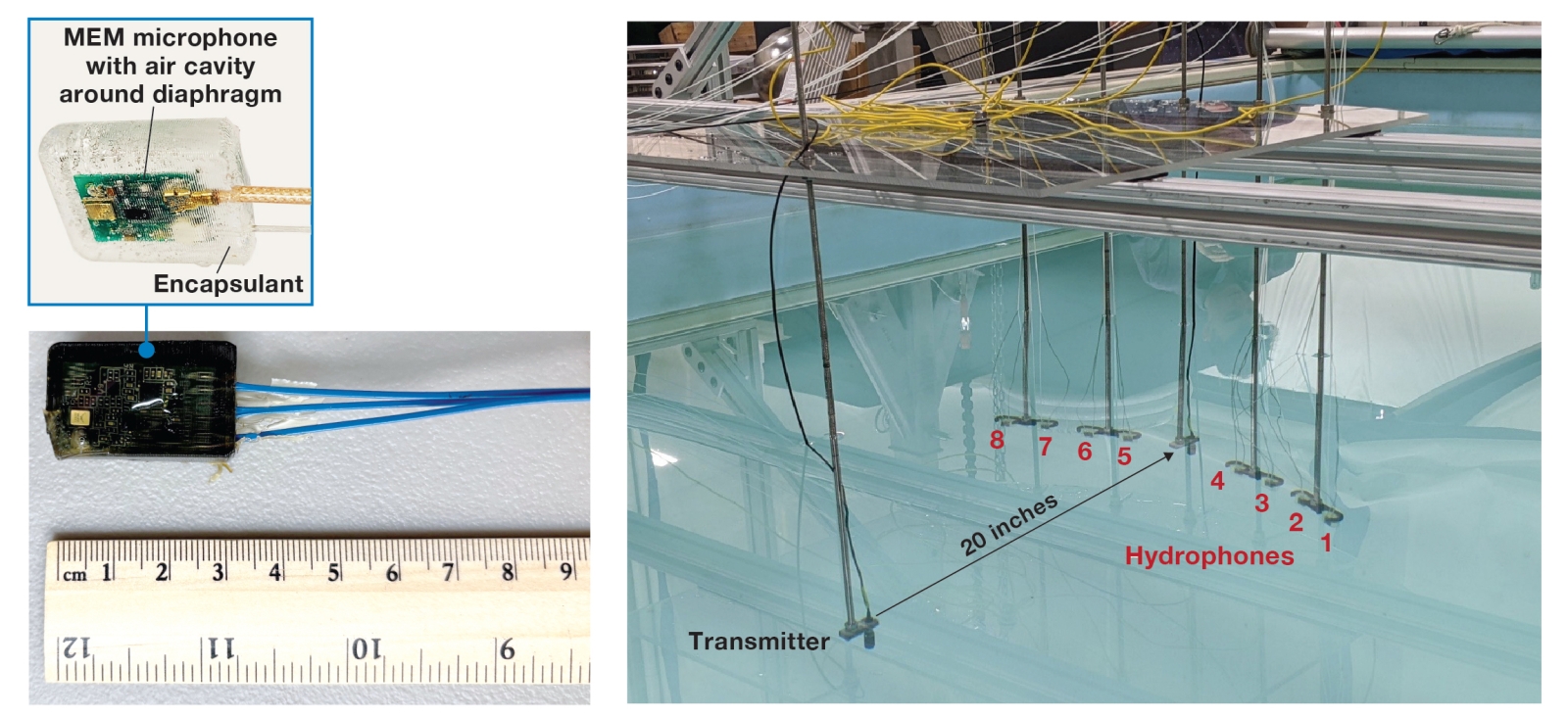 Photo array shows the miniature hydrophone encapsulated in polymer and a test setup for multiple hydrophones an indoor pool.