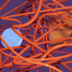 An 3D illustration with a blue orb and a model of a human head "staring" at eachother. Crisscrosing and surrounding them is a messy orange line, conveying confusion and frustration.